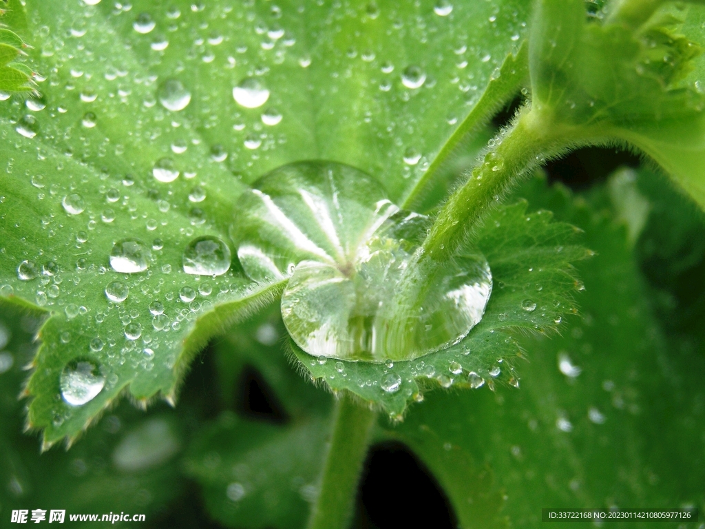 水滴水珠