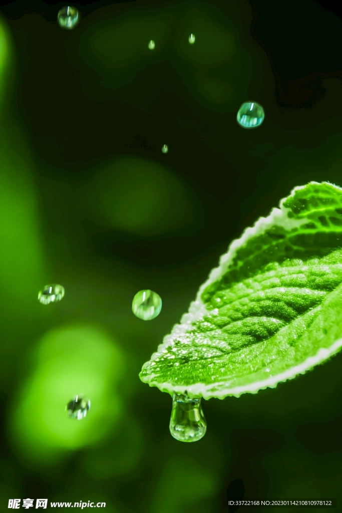 水滴水珠