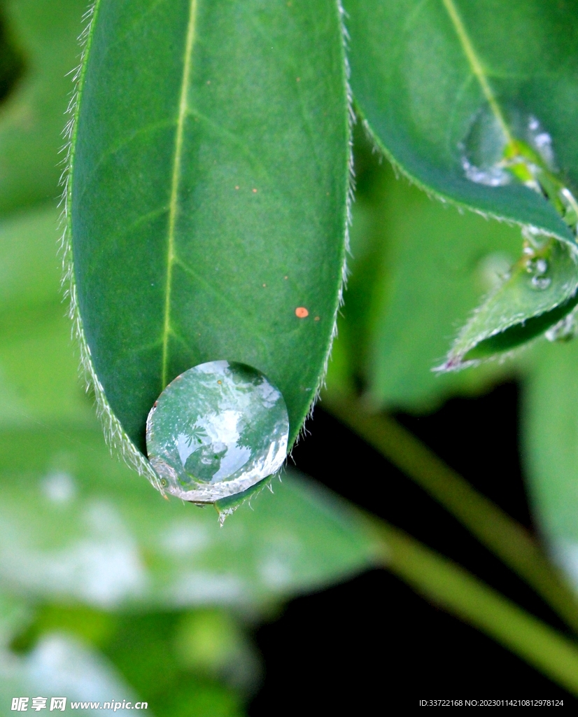 水滴水珠