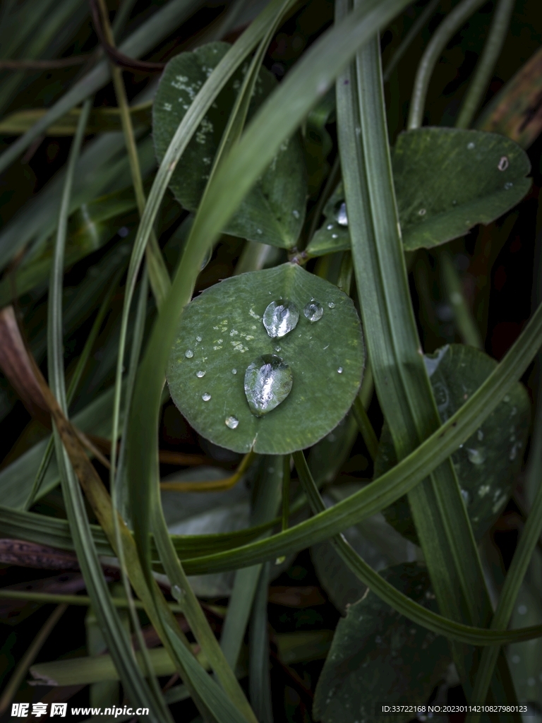 水滴水珠