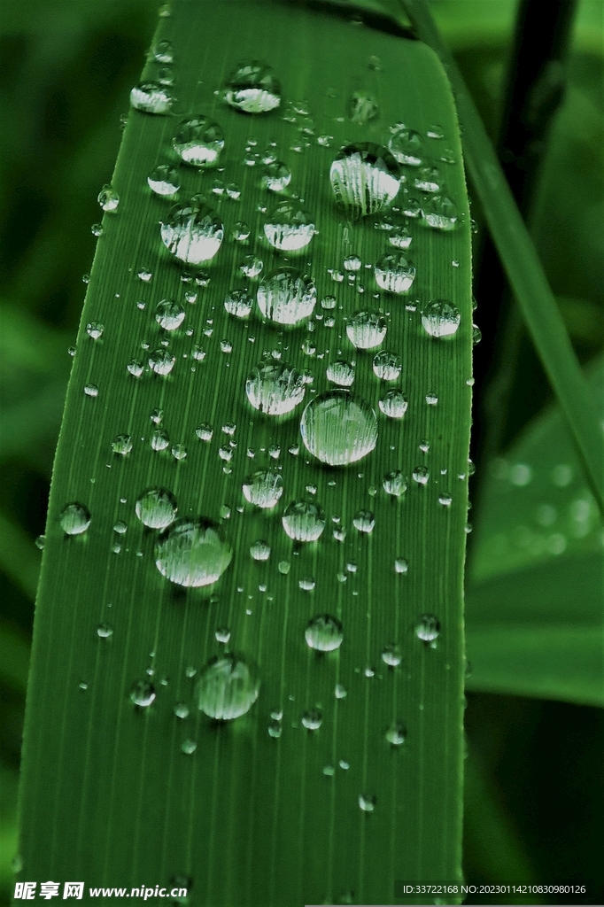 水滴水珠