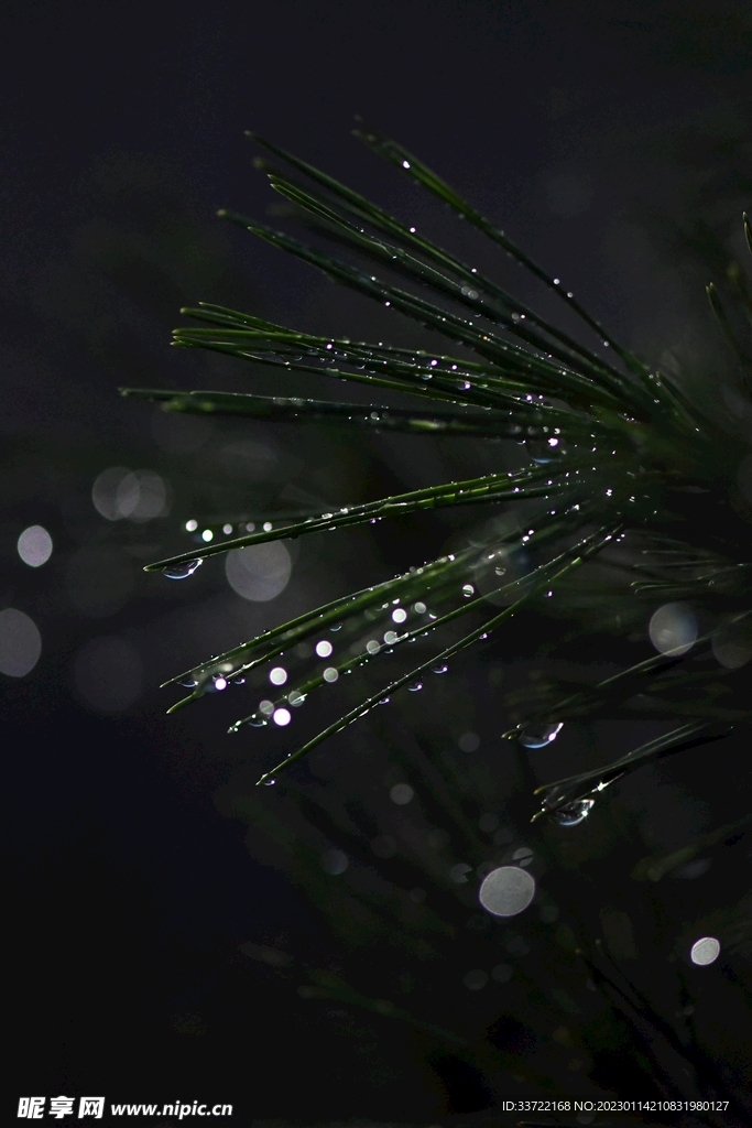 水滴水珠
