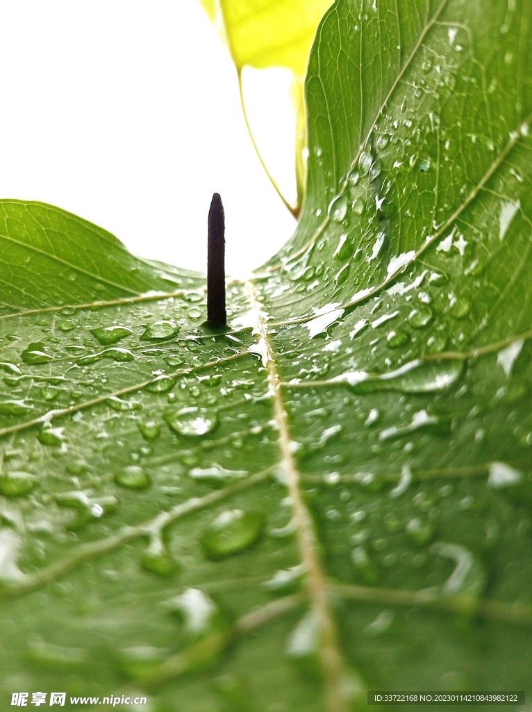 水滴水珠