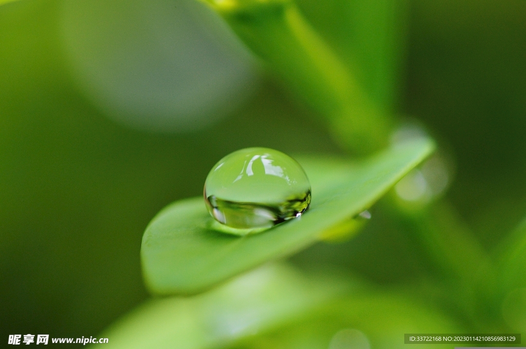 水滴水珠