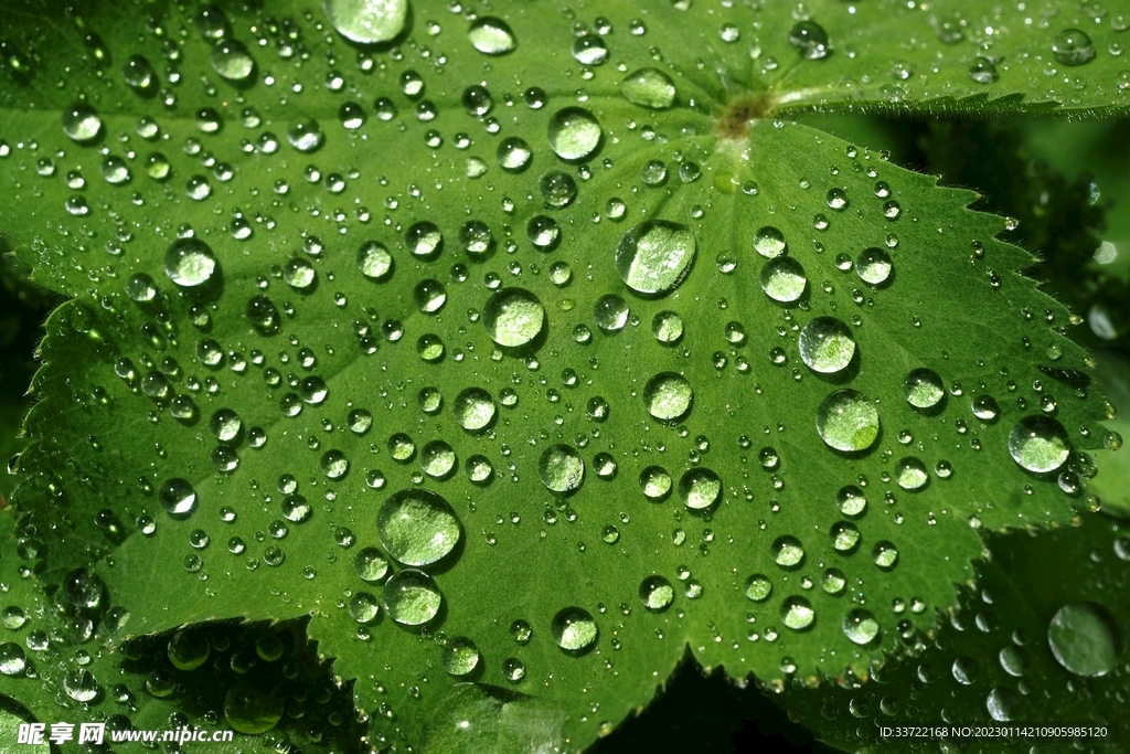 水滴水珠