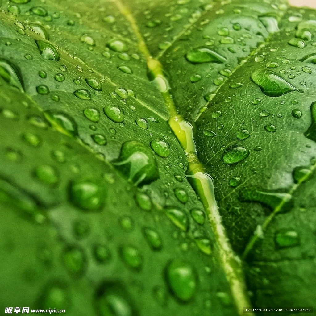 水滴水珠