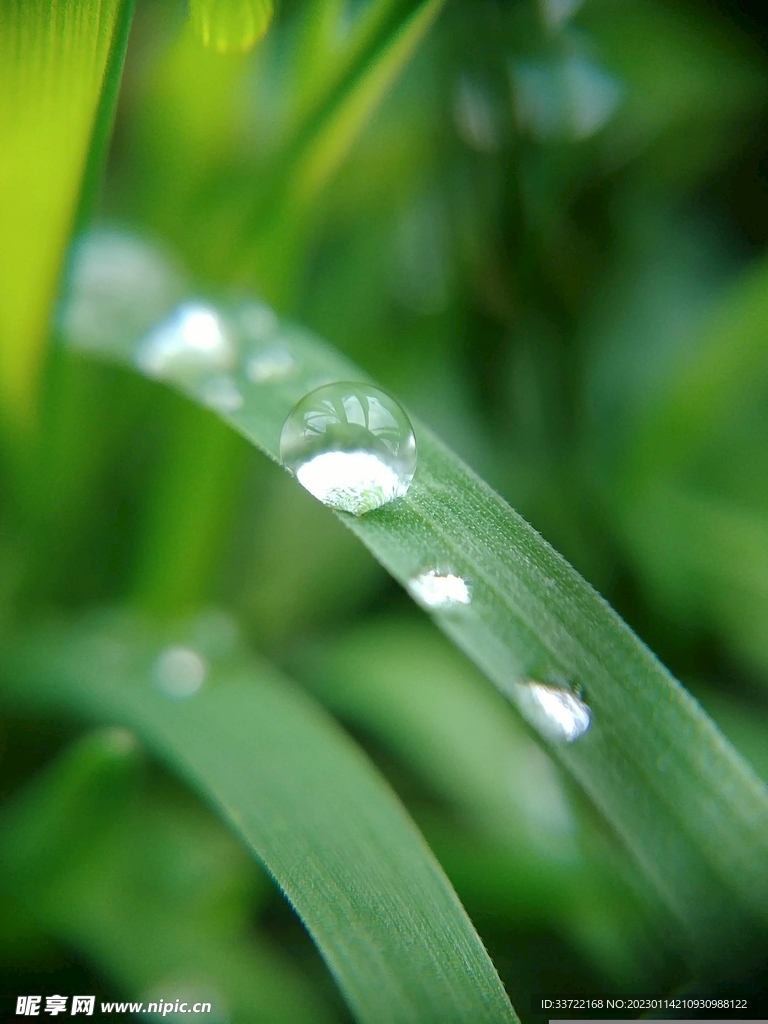 水滴水珠