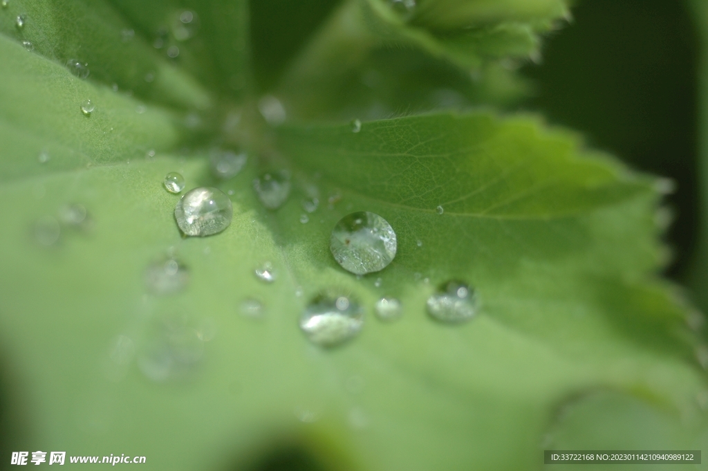 水滴水珠