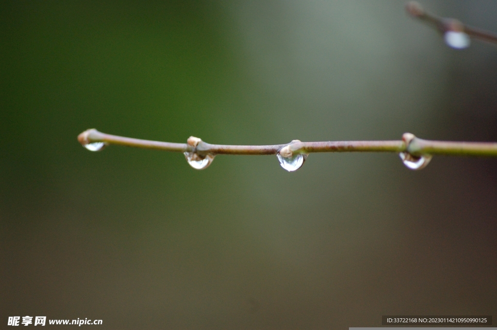 水滴水珠