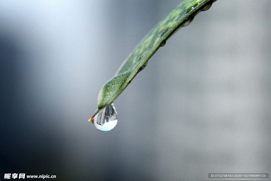 水滴水珠