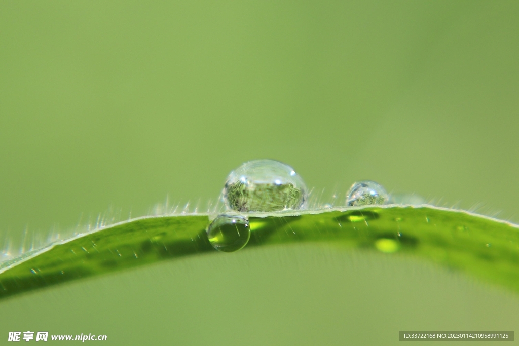 水滴水珠