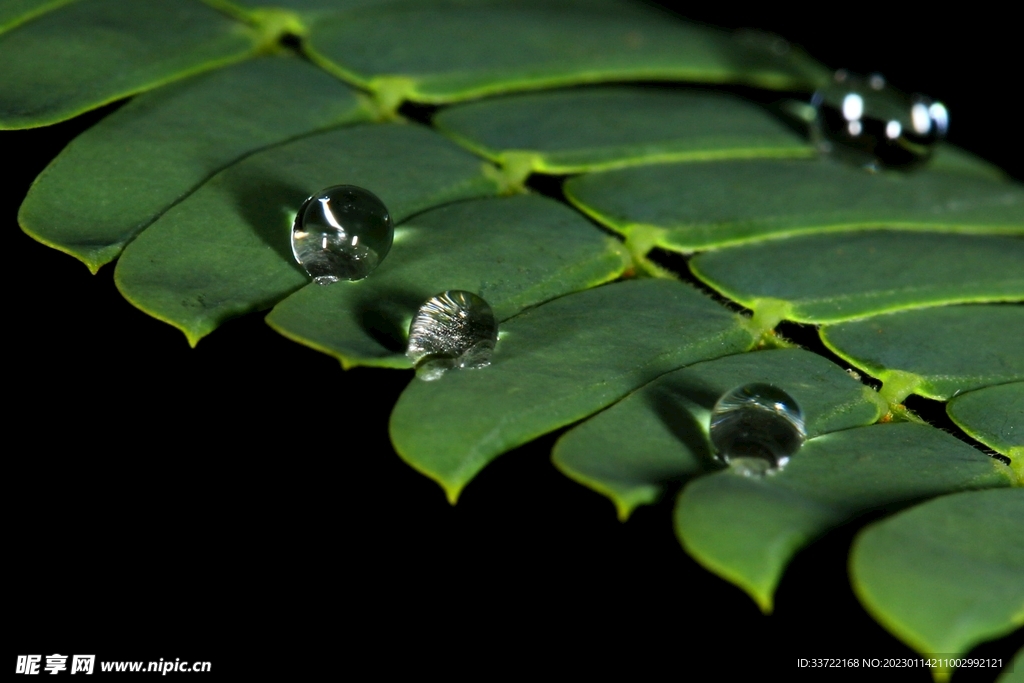 水滴水珠