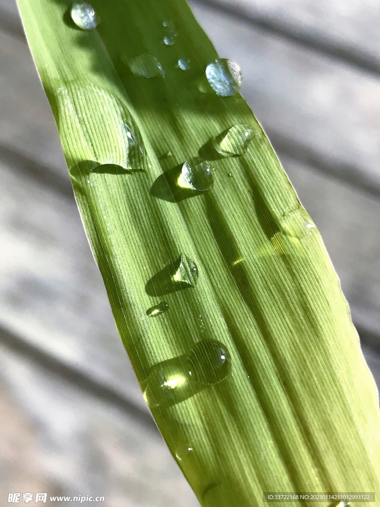 水滴水珠