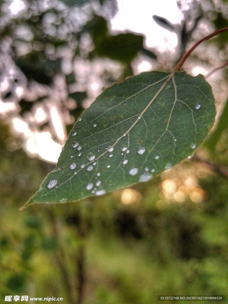 水滴水珠