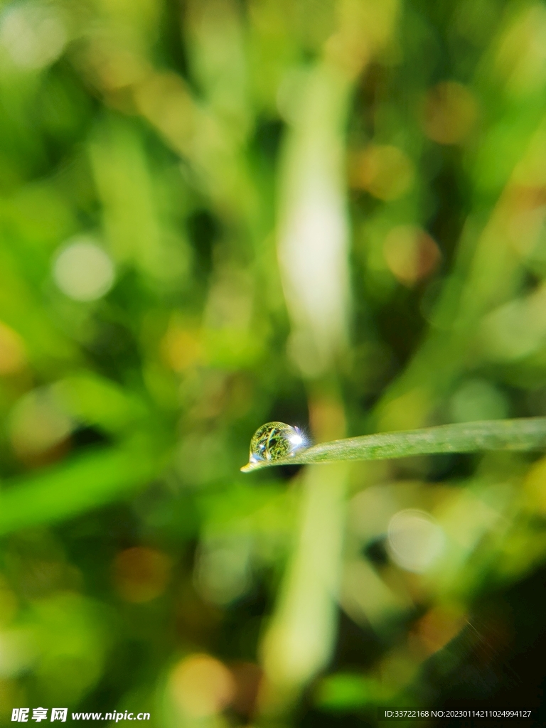 水滴水珠