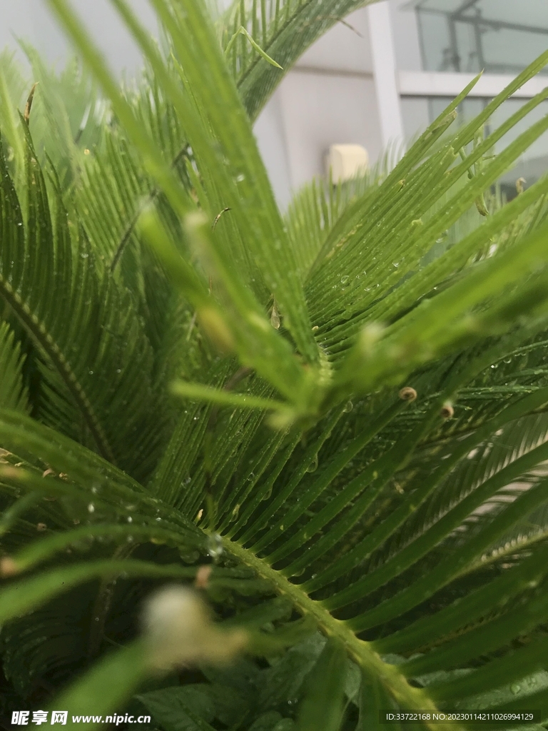 水滴水珠