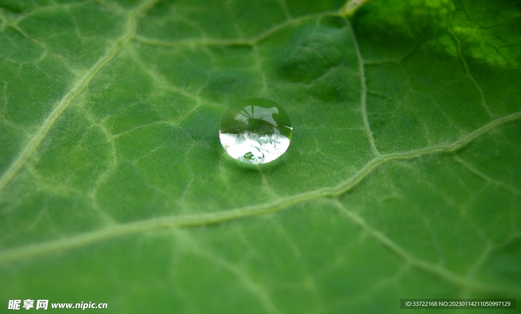 水滴水珠