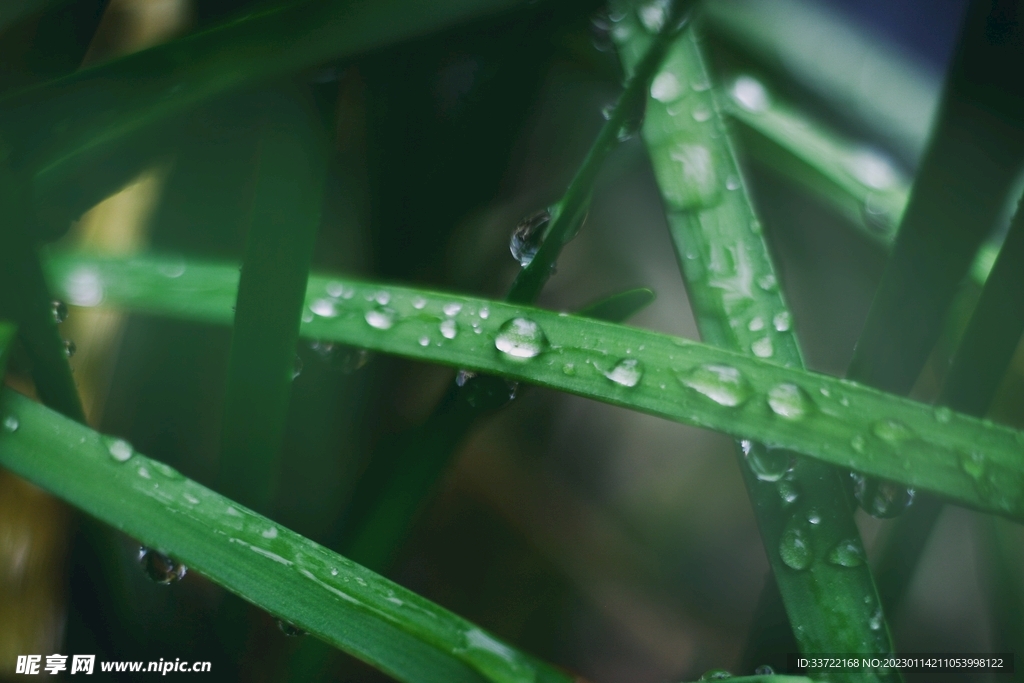 水滴水珠