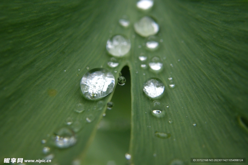 水滴水珠