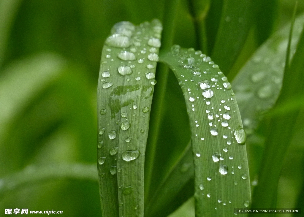 水滴水珠