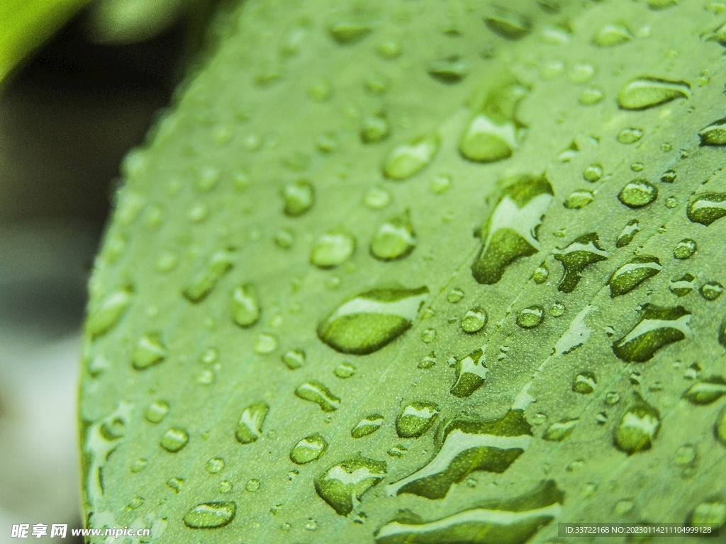 水滴水珠
