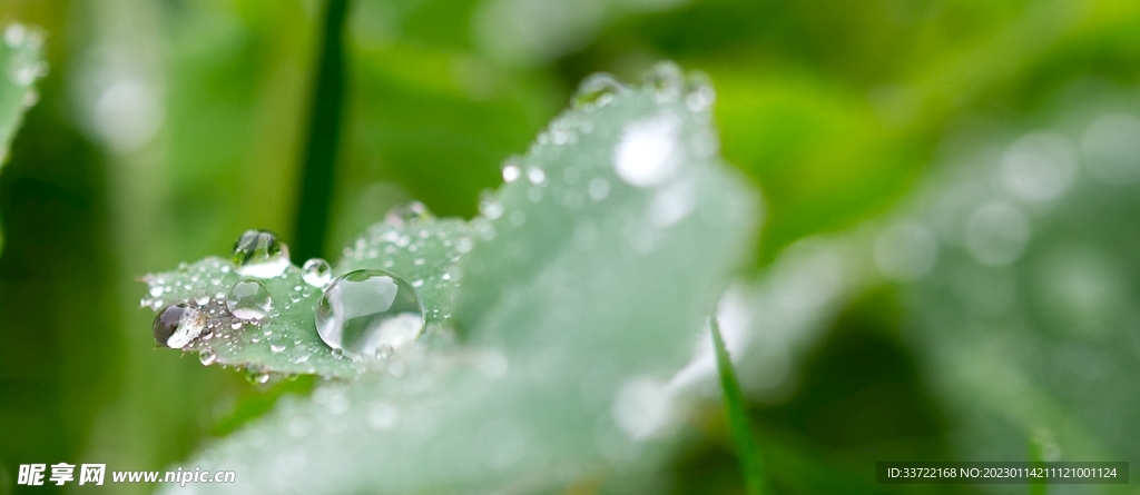 水滴水珠