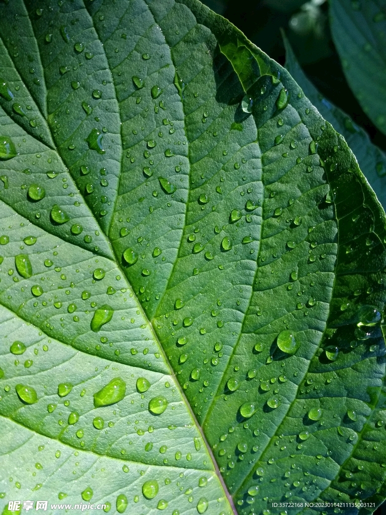 水滴水珠