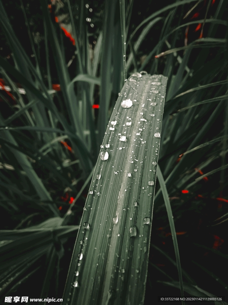 水滴水珠