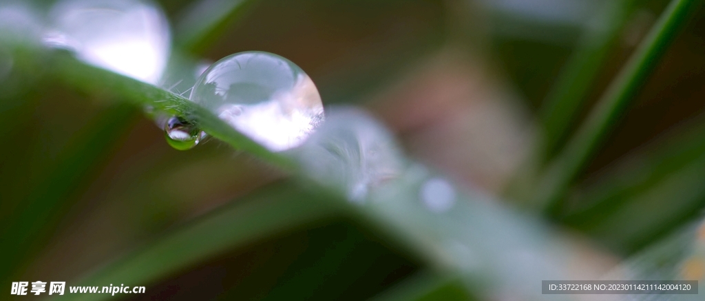 水滴水珠