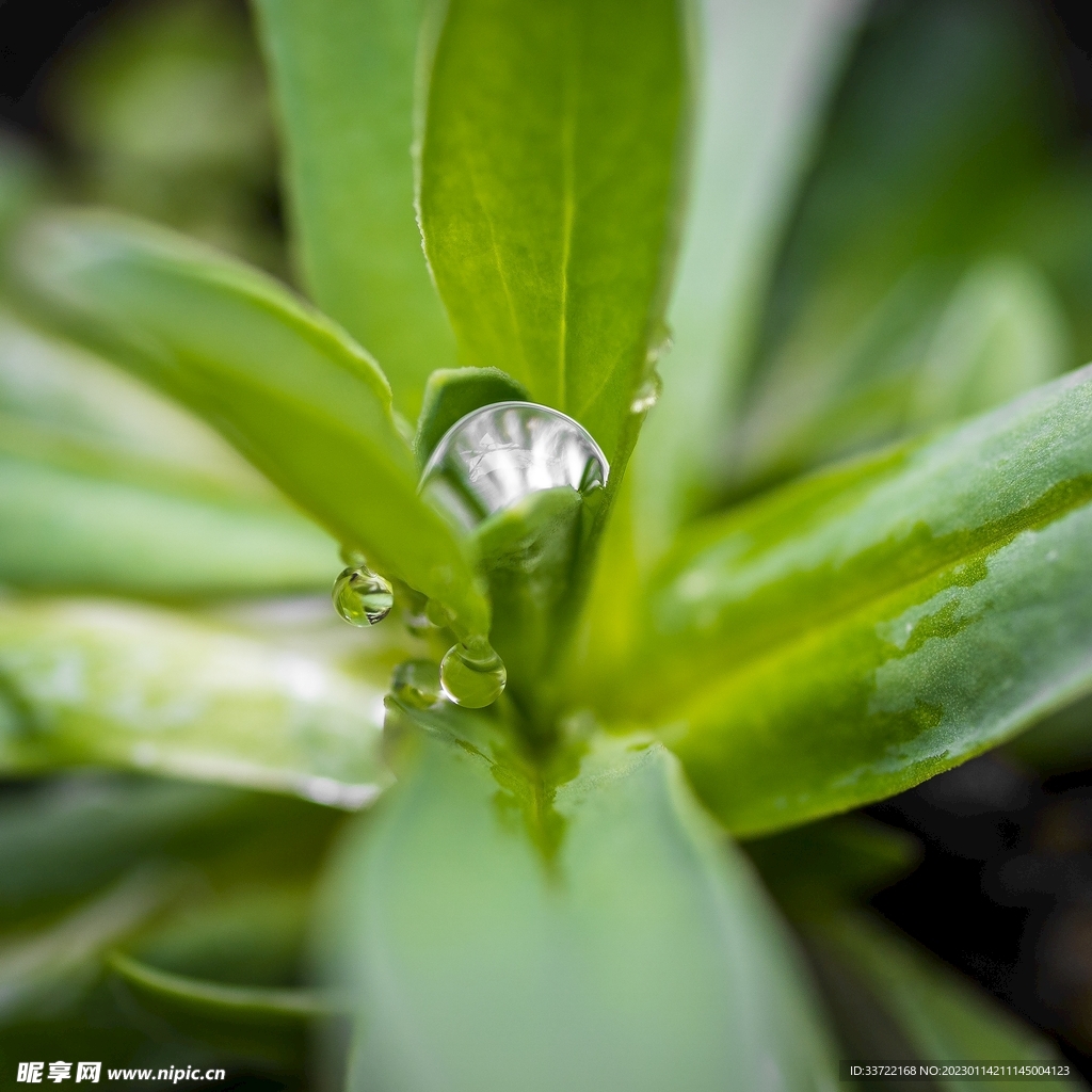 水滴水珠