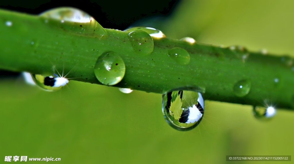 水滴水珠