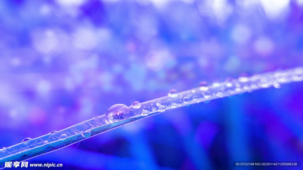 水滴水珠