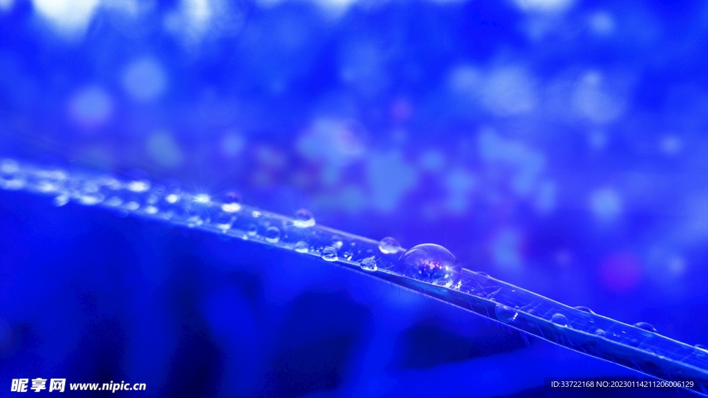 水滴水珠