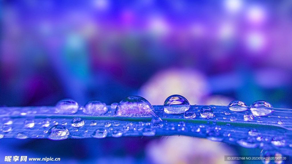 水滴水珠