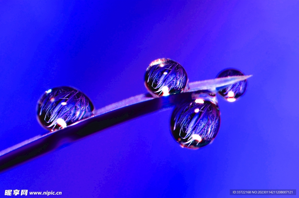 水滴水珠