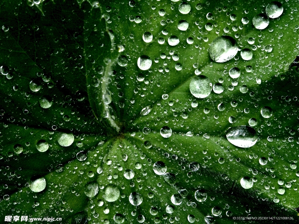 水滴水珠