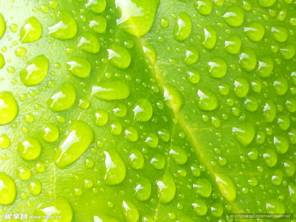 水滴水珠