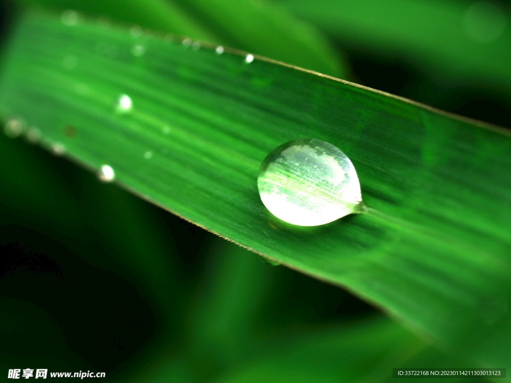 水滴水珠