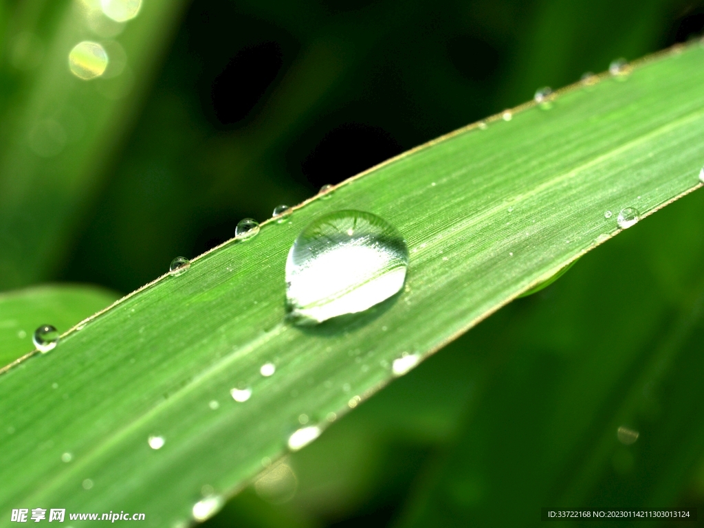 水滴水珠