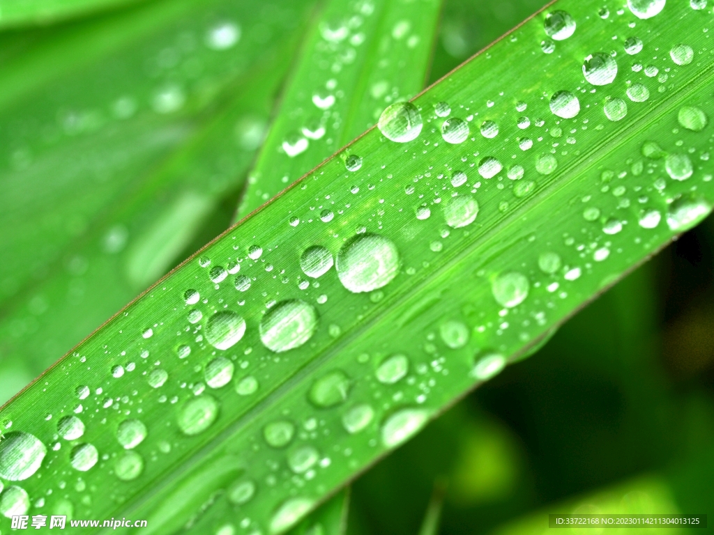 水滴水珠