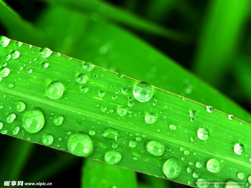 水滴水珠
