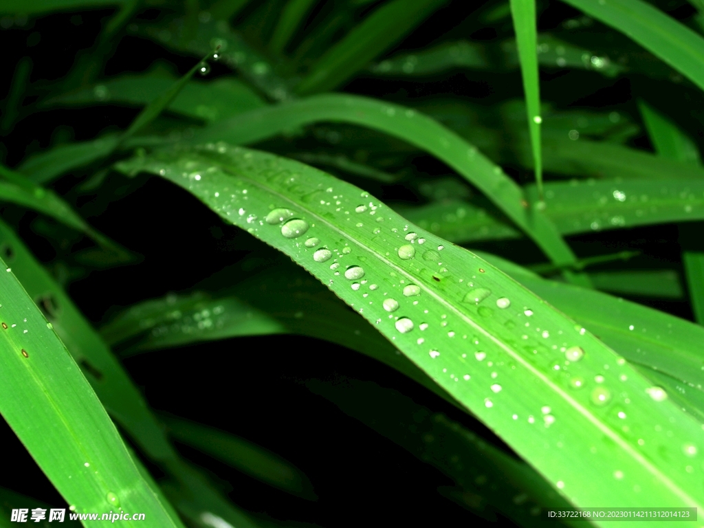 水滴水珠
