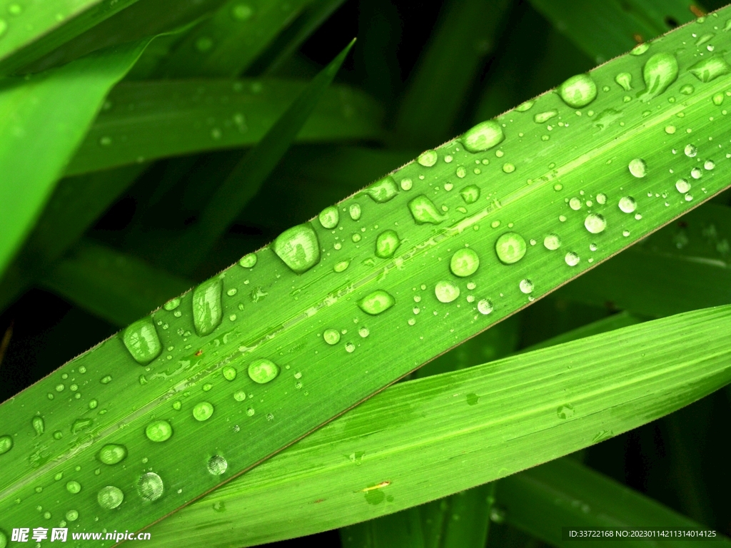 水滴水珠
