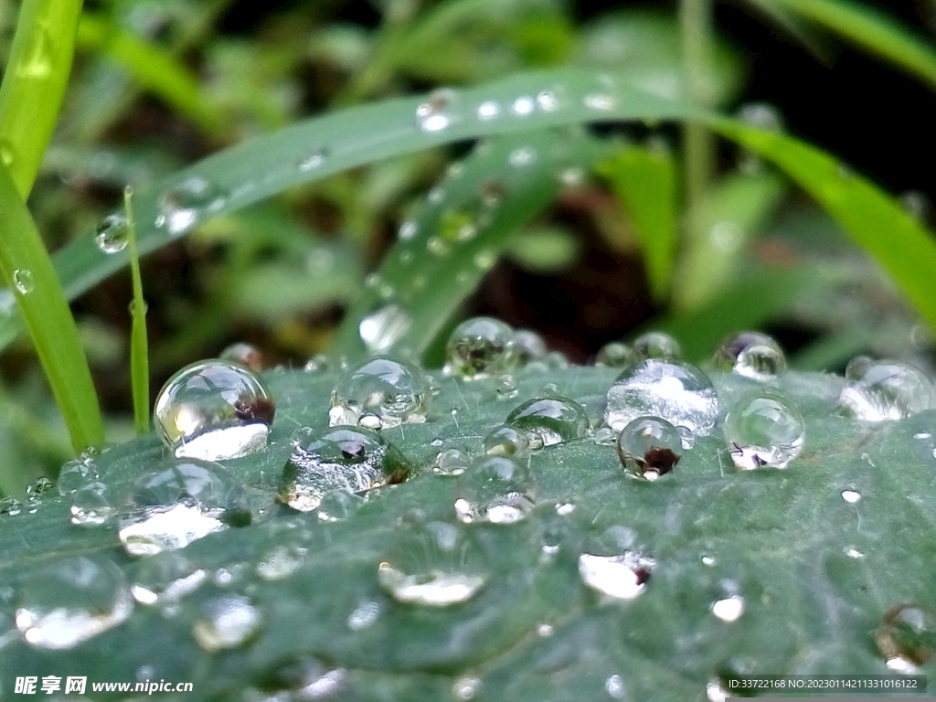 水滴水珠