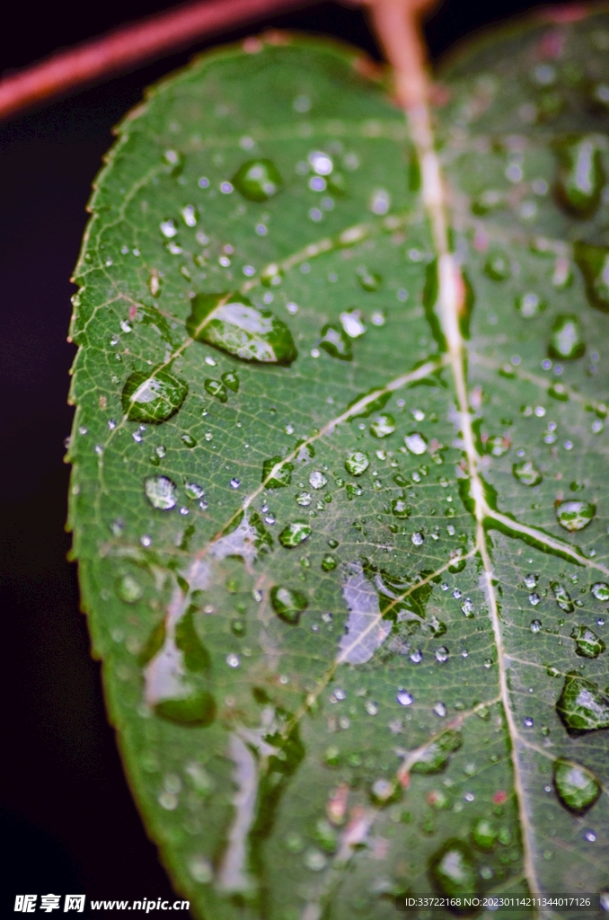 水滴水珠