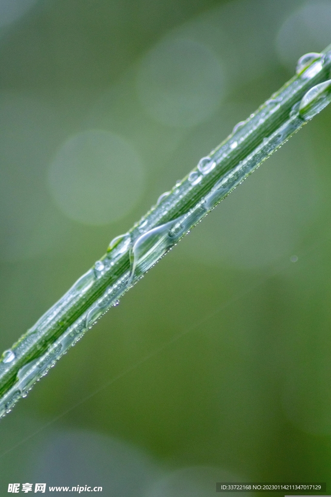 水滴水珠