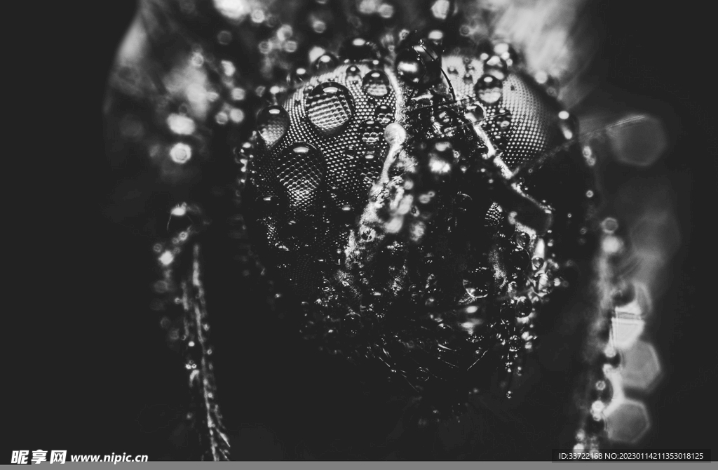 水滴水珠