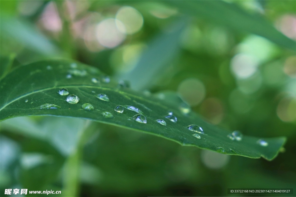 水滴水珠