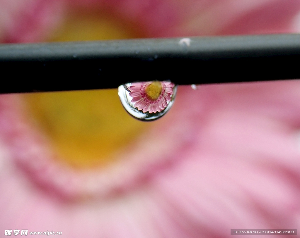 水滴水珠