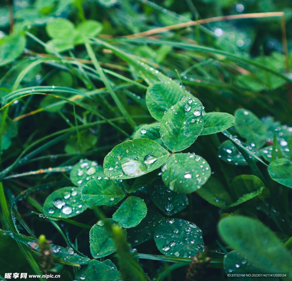水滴水珠